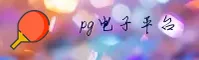pg电子官方网站